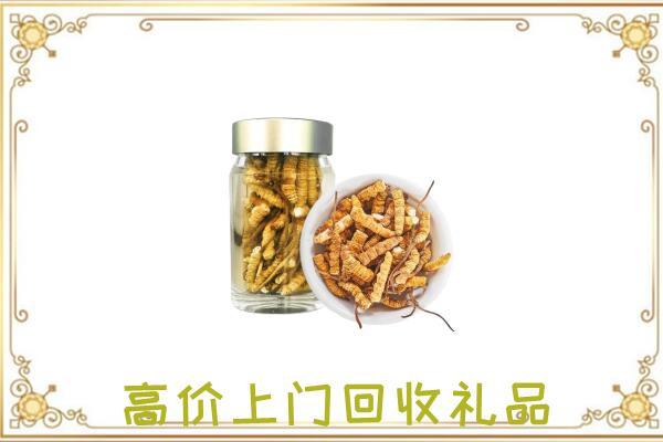 武安市周边回收虫草